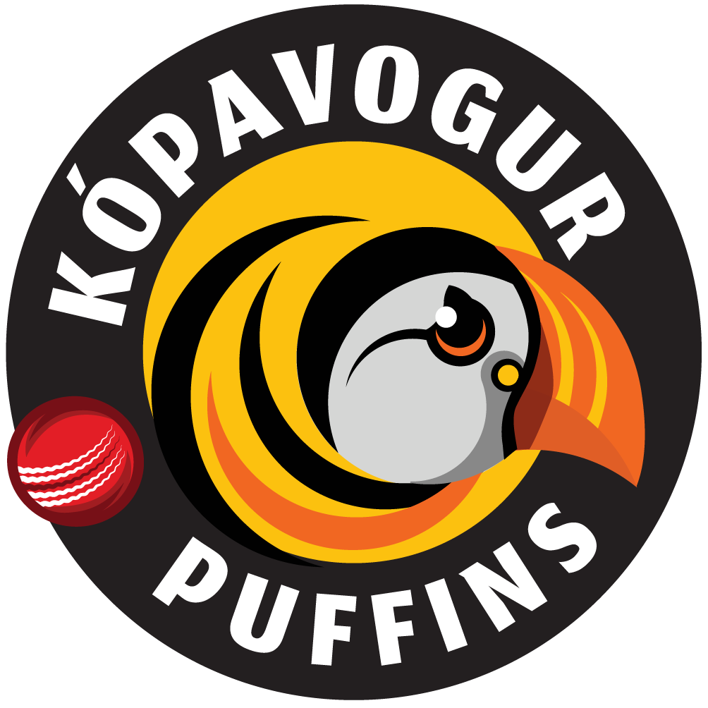 Kopavogur puffins logo